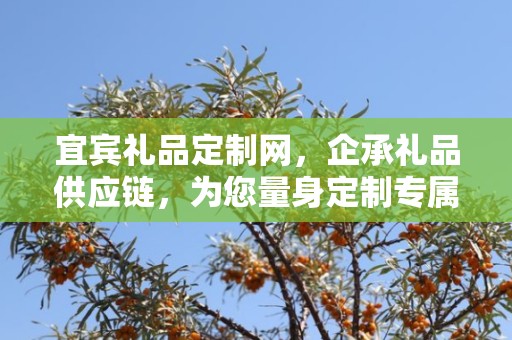 宜宾礼品定制网，企承礼品供应链，为您量身定制专属礼品