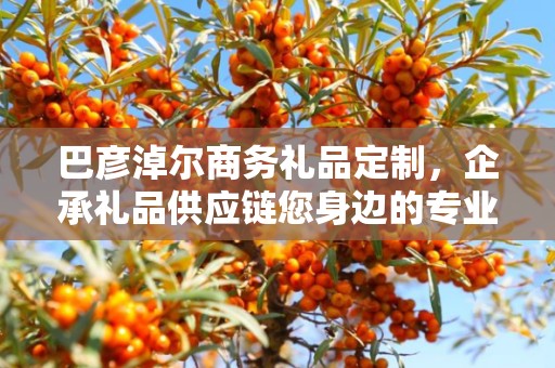 巴彦淖尔商务礼品定制，企承礼品供应链您身边的专业礼品定制公司