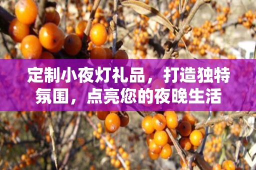 定制小夜灯礼品，打造独特氛围，点亮您的夜晚生活